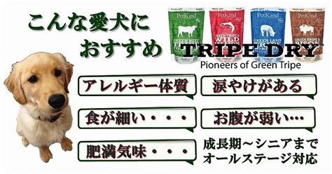 グリーン トライプで愛犬の健康を維持＆向上