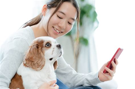 グリーン トライプのデメリット：愛犬の健康に注意すべきこと