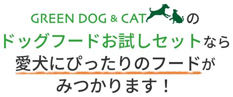 グリーン ドッグ 通販: 愛犬に安心なフードを届けよう