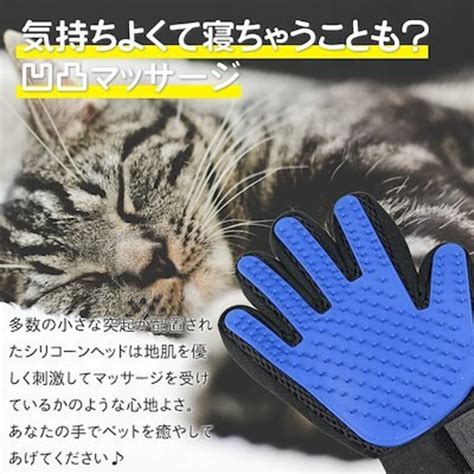 グルーミンググローブ 猫とは？