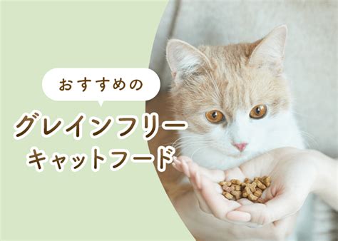 グレインフリーキャットフードのすべて: 利点、欠点、注意点