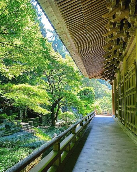 ゲストハウス 宿毛：思いっきり楽しめる、地元の穴場スポット