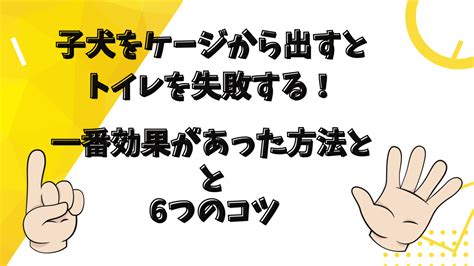 ゲージから出すとトイレ失敗…の解決策！