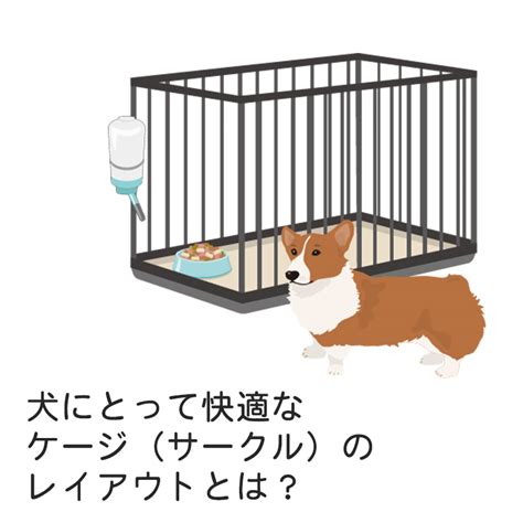 ゲージとは犬にとって必要不可欠なアイテム