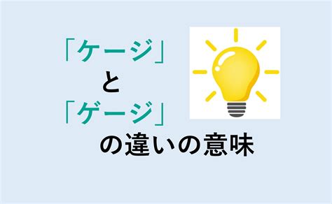 ゲージとケージの違い