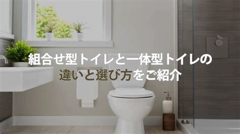 ゲージトイレと従来型トイレの徹底比較