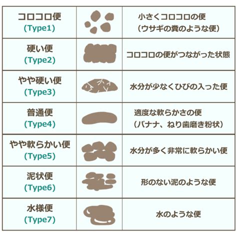 コロコロとは：包括ガイド