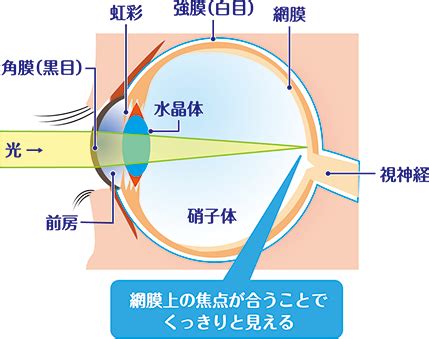 コンタクトレンズの意味とは？