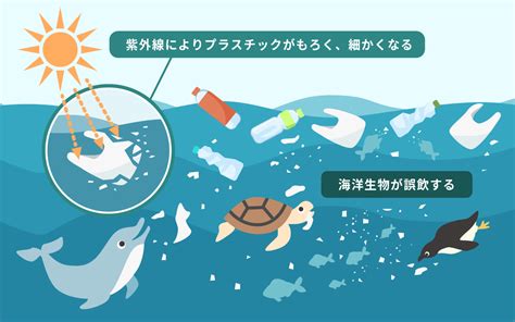 ゴミ箱 犬：忠実なコンパニオンから、プラスチック問題解決策まで