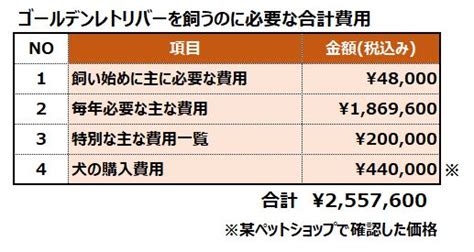 ゴールデンレトリバーの年間費用: 準備しておくべきこと