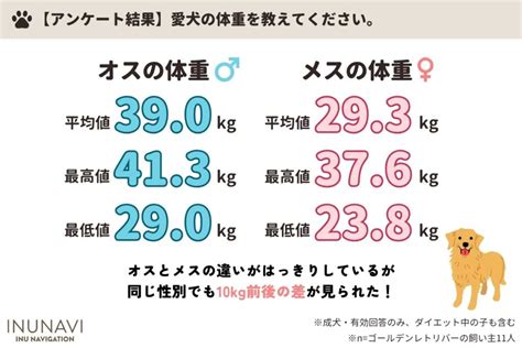 ゴールデンレトリバー子犬の体重の推移：大切な愛犬の健康管理のために