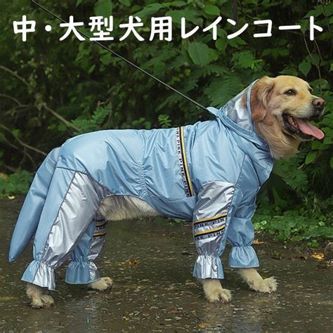 ゴールデンレトリバー用レインコートで愛犬を雨から守ろう！