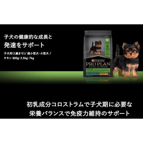 サイエンスダイエットで健康的な子犬の成長をサポート