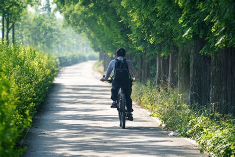 サイクリング：