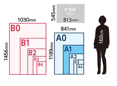 サイズと気質の比較