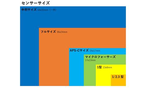 サイズの比較