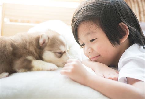 サニー動物病院であなたのかけがえのないパートナーを健やかに