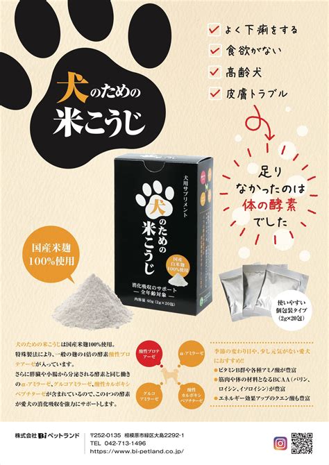 サプリメントで健康増進：犬のための食のサポート