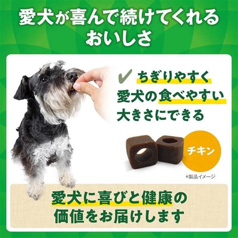 サプリメント ドック：愛犬の健康と幸福をサポートする栄養ガイド