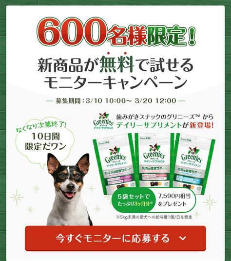 サプリメント モニター募集で得られる特典を最大限に活用する方法