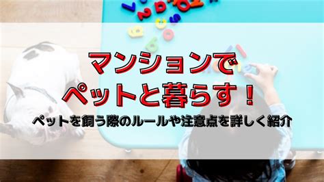 サークルペットの決定版ガイド：快適で安全な環境でペットを飼育する