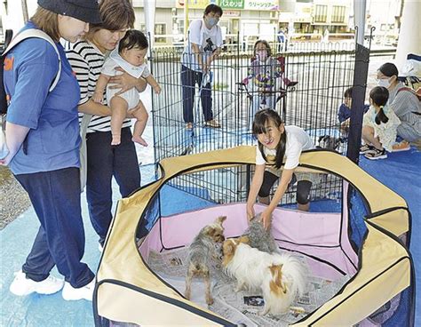 サークル動物: 愛と責任を備えた飼育