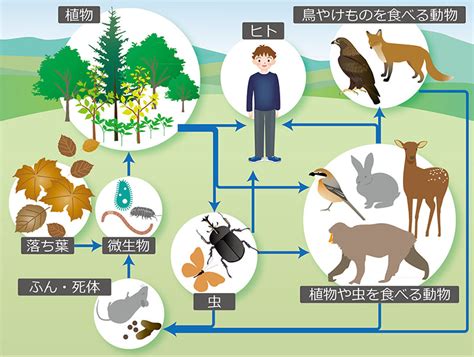 サークル動物と人間とのつながり：癒しの力、コミュニケーション、そして共存