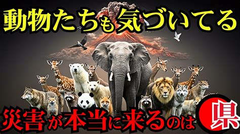 サークル動物に迫る！知って納得、驚きの世界