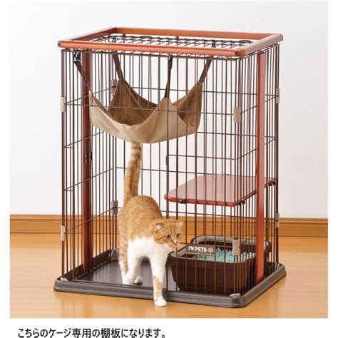 サークル キャットの特長