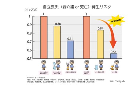 サーモンオイルが身体にもたらす驚異の効果