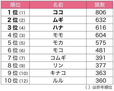 シェパード 名前ランキングで子犬にぴったりの名前を決定しよう！