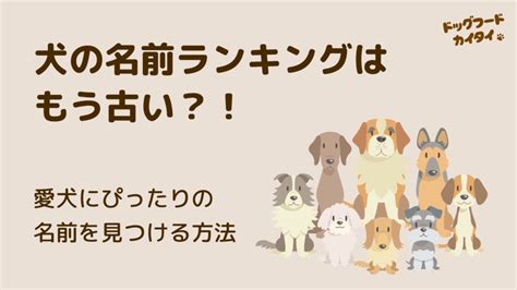 シェパード 名前ランキングで愛犬にぴったりの名前を見つけよう