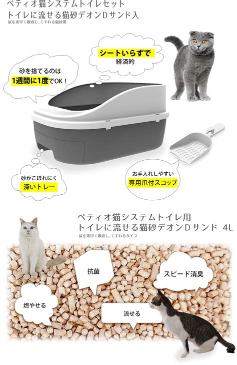 システムトイレで子猫を健康で快適に！子猫用システムトイレの徹底ガイド