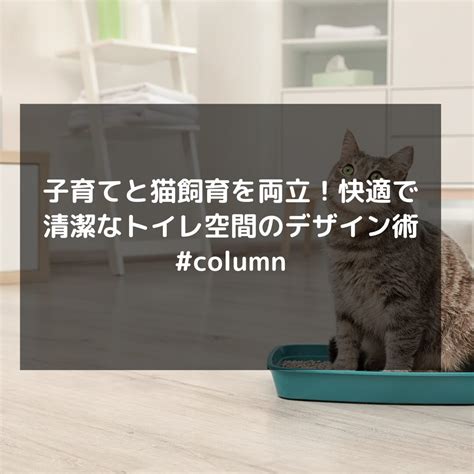 システムトイレとは：快適で清潔な猫のトイレ習慣のためのガイド