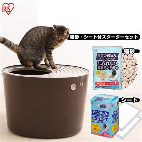 システムトイレとは：猫のための快適で衛生的ソリューション