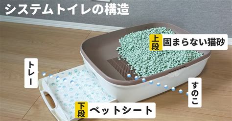 システムトイレと猫砂で快適な猫のトイレ環境を