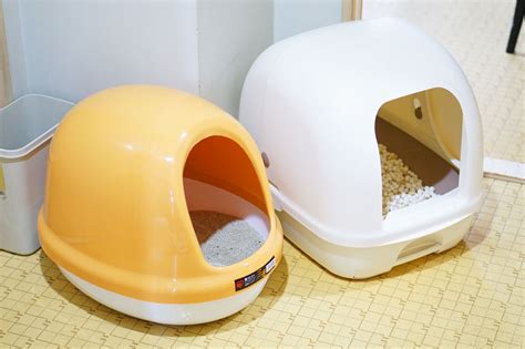 システムトイレは子猫に適していますか？