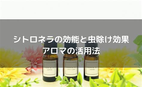 シトロネラで虫除け対策！効果的な使い方と便利な活用法