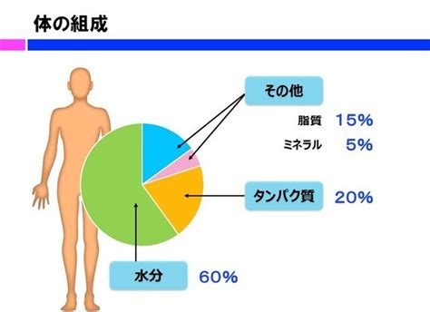 シニアの「たんぱく質」問題は深刻！その原因と解決法とは？