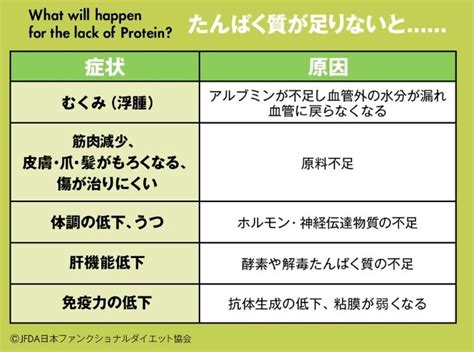 シニアタンパク質：健康的な老後への鍵