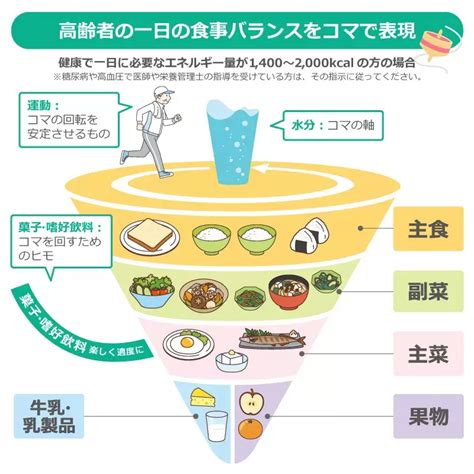 シニア期における栄養の重要性