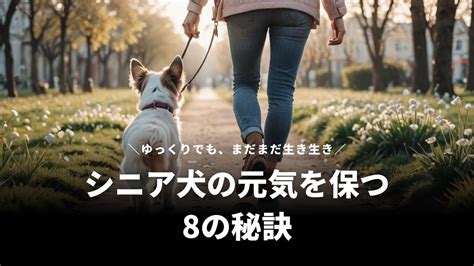 シニア犬が健康で幸せに過ごす10の秘訣