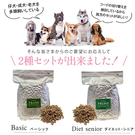 シニア犬にダイエットフードが必要な理由