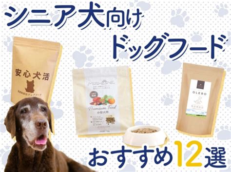 シニア犬に最適なドッグフードの選び方とおすすめランキング