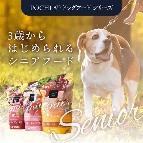 シニア犬のためのダイエットフード：長寿で健康な生活を送るために