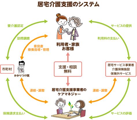 シニア犬の健康と介護における包括的なガイド