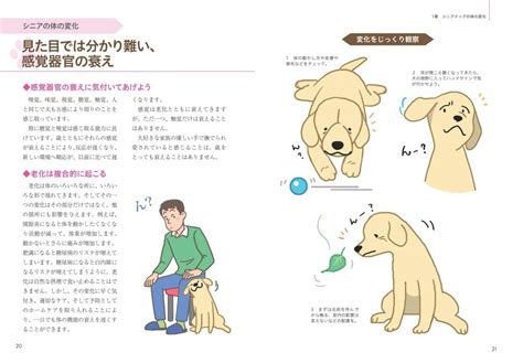 シニア犬ケアの重要性