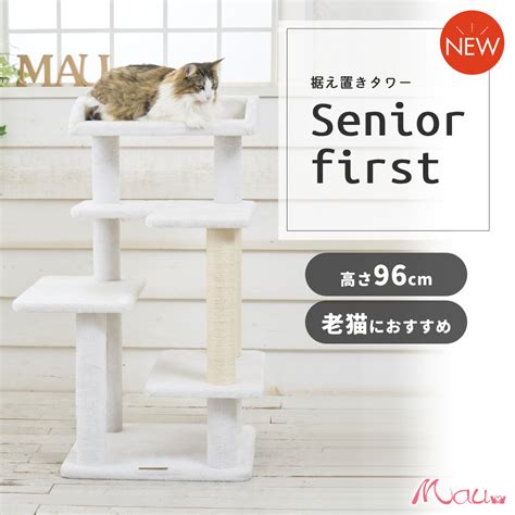 シニア猫にやさしいキャットタワーで快適な余生を過ごそう！