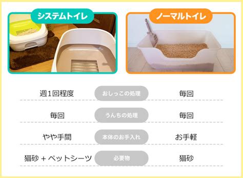 シニア猫のトイレ選びのポイント