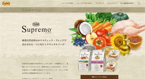 シュプレモ評価：傑出した品質とユーザー満足度